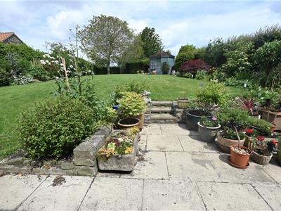 Picture 23